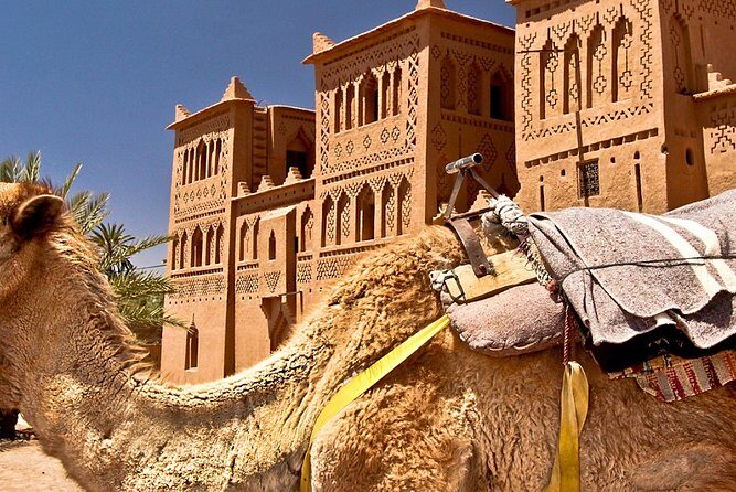 Private Tour from Marrakech to Ait Benhaddou and Ouarzazate - The Itinerary in Detail: What to Expect