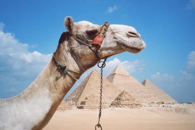 Private Tour: Giza Pyramids, Sphinx, Memphis, Sakkara - Analyzing the Cost and Value