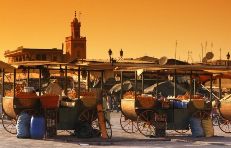 Private Tour: Half-Day Sightseeing Tour of Marrakech - Exploring Marrakech in Four Hours: What to Expect