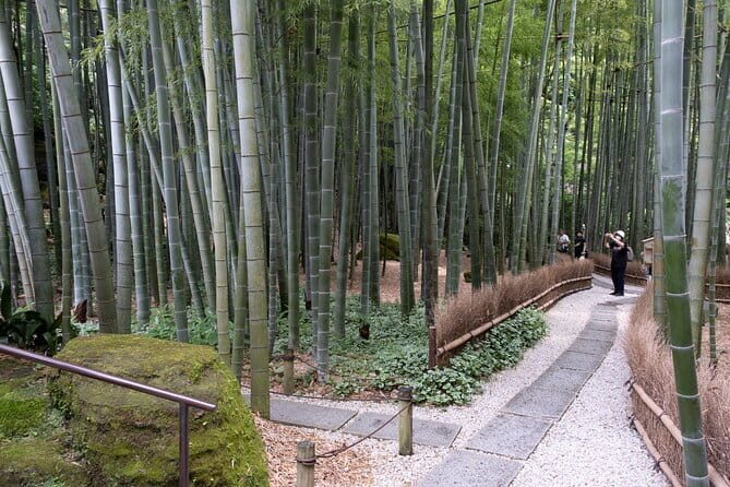Private tour in Kamakura: Matcha tea tasting & photo shoot - Who This Tour Is Best For