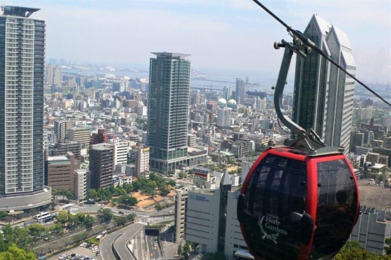 Private tour in Kobe with beef dinner - An In-Depth Look at the Kobe Private Tour