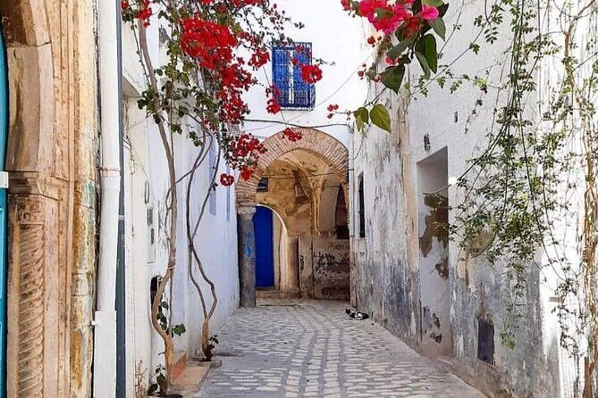 Private tour: Medina,Carthage ,Sidi Bou Said, Bardo Museum+lunch - An In-Depth Look at the Tour Experience