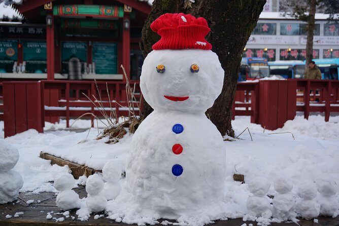 [Private Tour] Nami Island & Ski (Ski Lesson, Equip & Clothing Included) - Visiting Nami Island: The Scenic Highlight