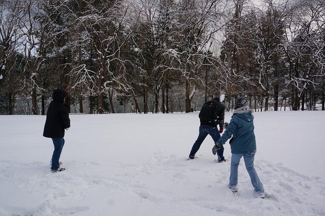 Private Tour Nami Island with Petite France 'and/or' The Garden of Morning Calm - Exploring Nami Island