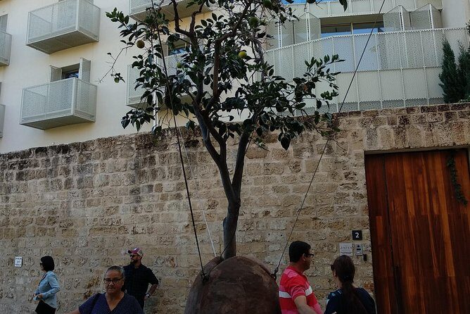 Private Tour: Non-Stop Tel-Aviv - Additional Features and Optional Extras