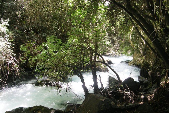 Private tour of the Israeli Far North - Tel Dan, Banias Reserve & Waterfall - Who Would Enjoy This Tour?