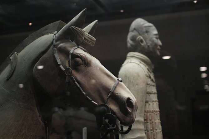 Private Tour: Terracotta Warriors& Foodie Tour and Seal Carving - FAQ