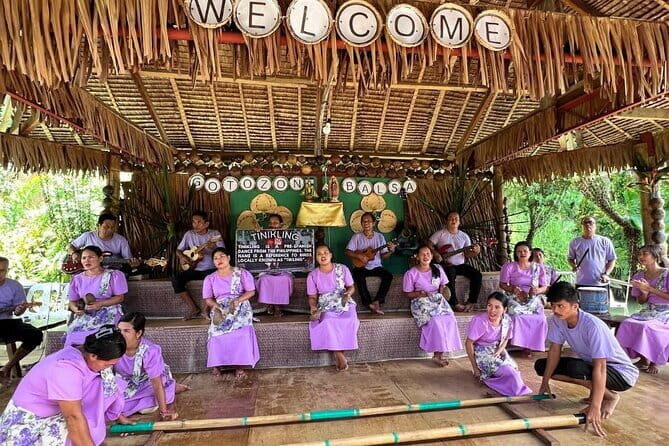 Private Tour to Chocolate Hills, Tarsiers, & River Lunch in Bohol - How the Tour Works in Practice