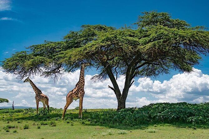 Private Tour to Crescent Island From Nairobi - Final Thoughts