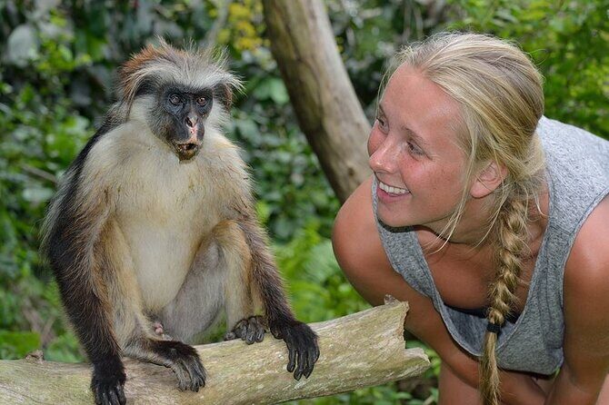 Private Tour to Jozani Forest Reserve Half-Day Guided Tour from Zanzibar - Practical Details: What To Know Before You Go