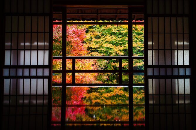 Private Tour to Kyu Chikurinin Garden by Car - Who Will Enjoy This Tour?