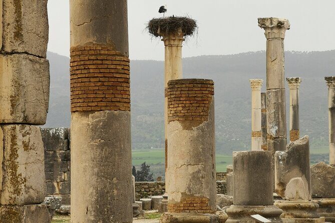 Private Tour To Meknes/ Volubilis/ Moulay Idriss From Fes - A Detailed Look at the Tour
