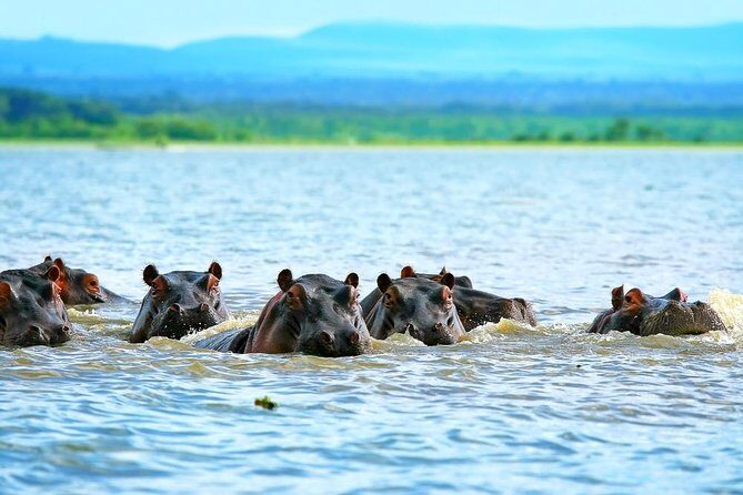 Private Tour to Mount Longonot and Optional Boat Ride on Lake Naivasha - Real Guest Perspectives