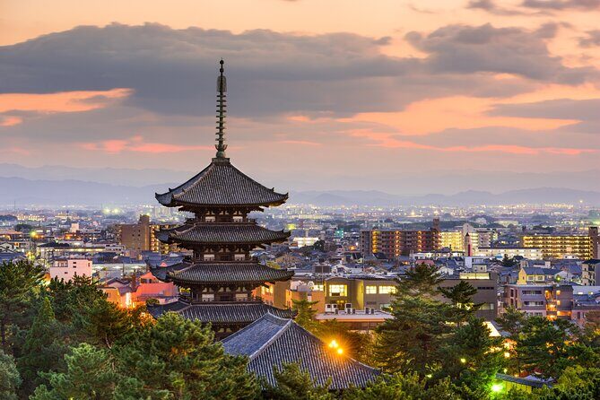 Private Tour to Nara from Osaka with English speaking Driver - What Travelers Say