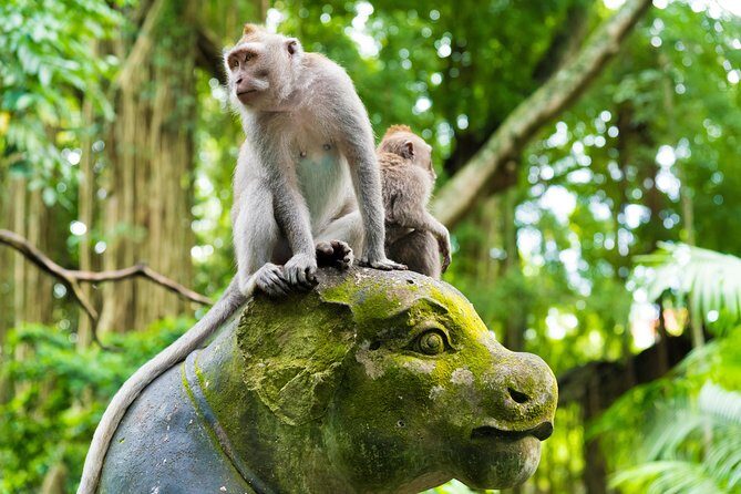 Private Tour: Ubud Highlights - Practical Details and Tips