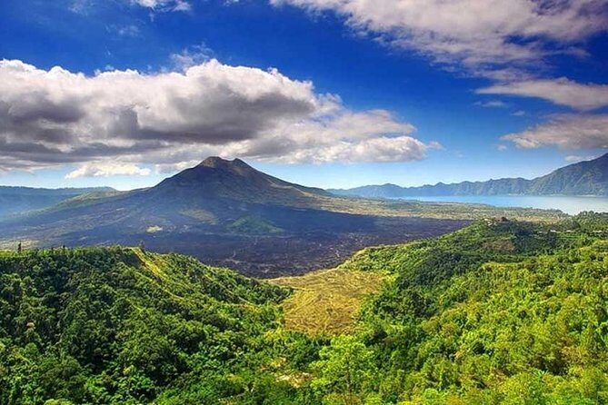 Private Tour - Ubud Kintamani Tours - What’s Included & What to Expect