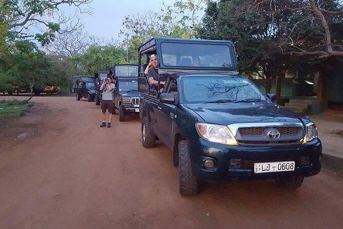 Private Tour : YALA National Park with Experienced Driver and Guide - What Makes This Tour Stand Out?