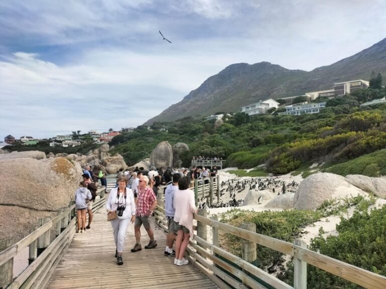 Private Tour:Cape Peninsula &Penguin Beach, Cape Point &more - How the Tour Works: Logistics & Value