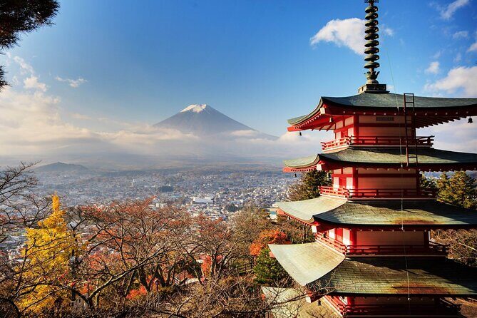 Private Transfer for Custom Day Tour in Tokyo - Exploring the Itinerary: What to Expect