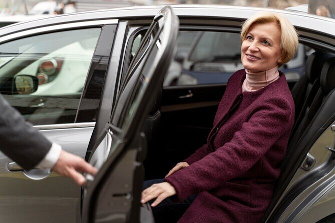 Private transfer from Cairo Airport to the hotel in Cairo or Giza - What to Expect from This Cairo Airport Transfer