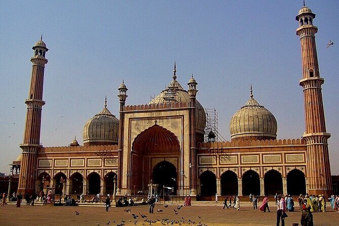 Private Transfer From Delhi Airport to Hotel in New Delhi - Why This Transfer Works Well