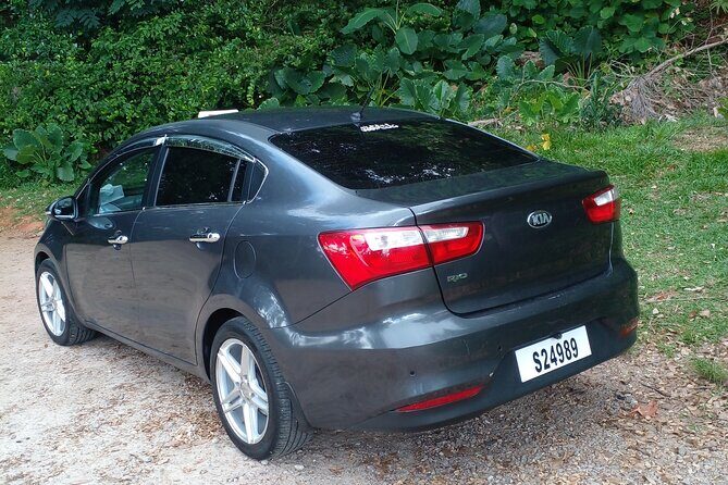 Private Transfer from Hotel, Port, and Airport of Seychelles - The Experience in Detail