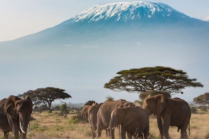 Private Transfer from Kigali Airport (KGL) to Kigali - Why You’ll Appreciate This Kigali Airport Transfer