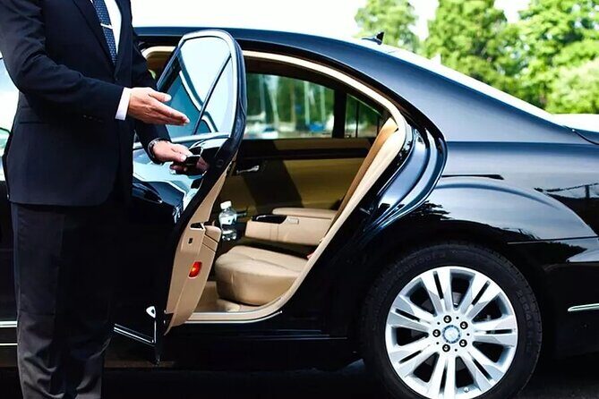 Private Transfer from Luxor Airport to Luxor Hotels - What the Journey Looks Like