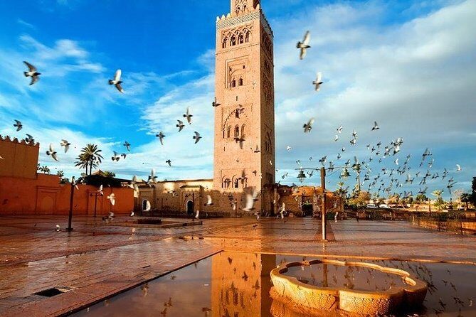 Private transfer From Marrakech to Essaouira - Final Thoughts: A Reliable Choice for a Stress-Free Journey