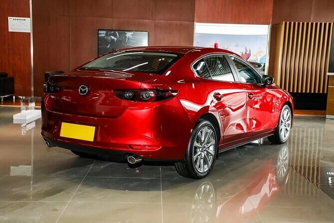Private Transfer in Shenzhen with English Service - Who Is This Service Best For?
