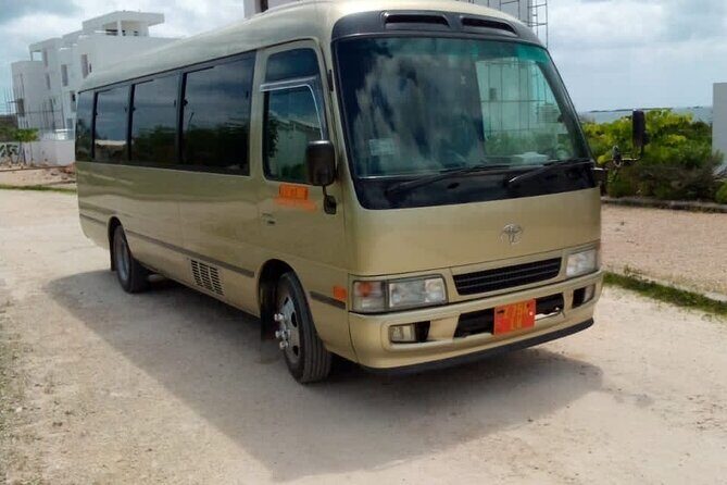 Private Transfer in Zanzibar - Visualizing Your Ride