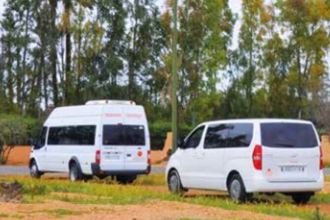 Private Transfer to Tangier City from Airport or Vice Versa - What to Expect on Your Transfer