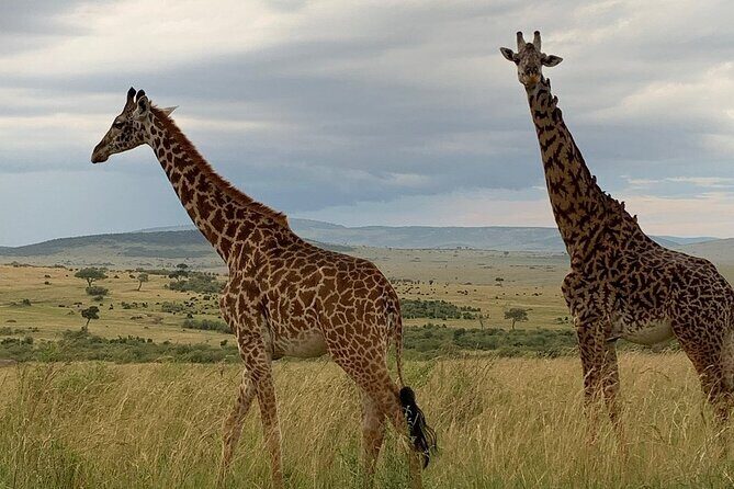 Private Tsavo East Tour - The Itinerary in Detail: What to Expect