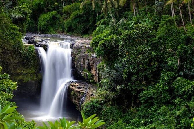 Private Ubud Tour - The Practicalities: What to Expect