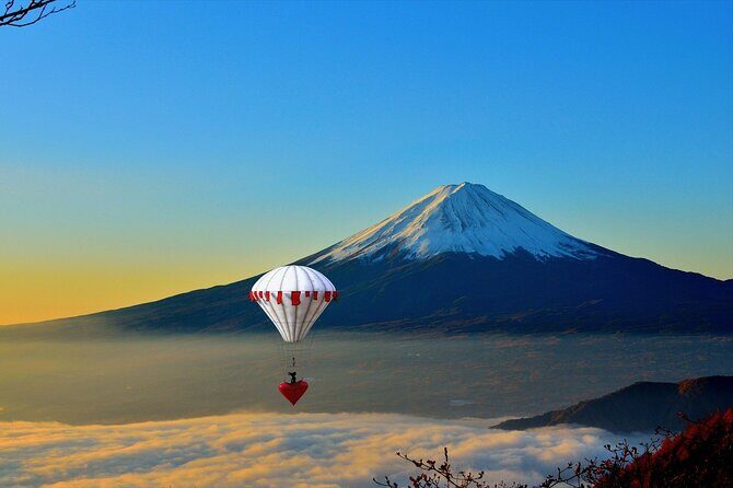 Private Unforgettable Mt Fuji Tour with English Speaking Driver - Transportation & Practical Details