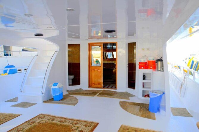 Private VIP Boat Snorkeling Day To White Island And Ras Mohamed - Authentic Experiences and Genuine Praise from Travelers