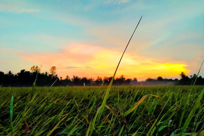 PRIVATE VIP Mekong Delta 1 Day with Biking,Fishing,Cooking ,BBQ - NON Touristic - Exploring the Itinerary: What to Expect on This Day
