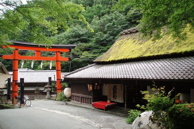 Private Walking Tour in Bamboo Forest & Hidden Spots in Arashiyama - What to Expect from the Experience
