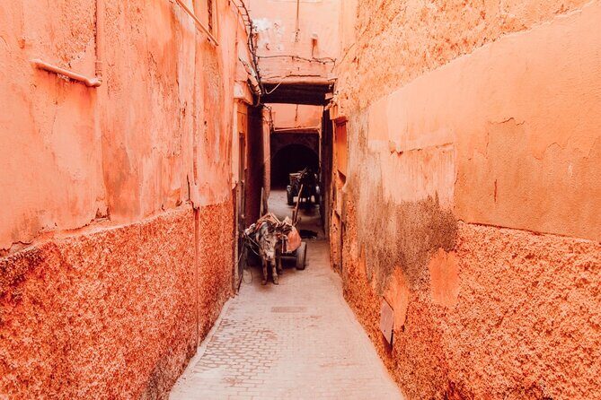 Private Walking Tour in Marrakech - Who Should Book This Tour?