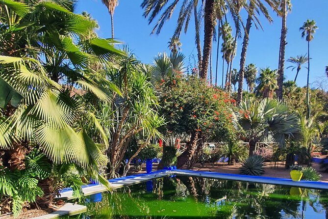 Private Walking Tour in Marrakech - What’s Included and What’s Not?
