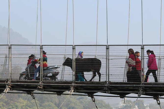 Private Walking Tour in Rishikesh - The Final Word: Is It Worth It?