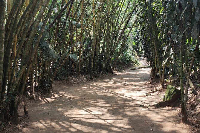 Private Waterfalls and Still Jeep 4x4 6hrs by Jango Paraty - An In-Depth Look at the Waterfalls and Jeep Tour