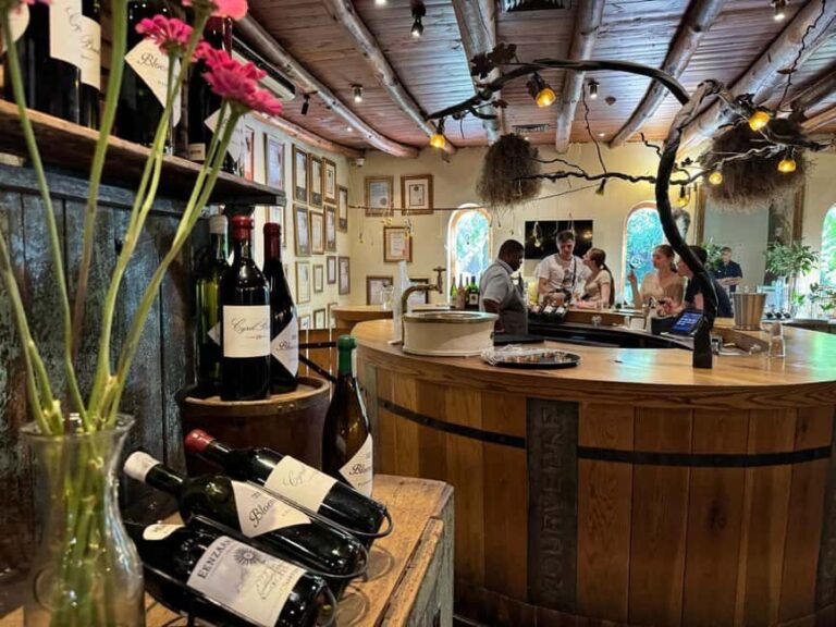 Private Wine Tasting Tour: Stellenbosch, Franschhoek, Paarl - Who Will Love This Tour?