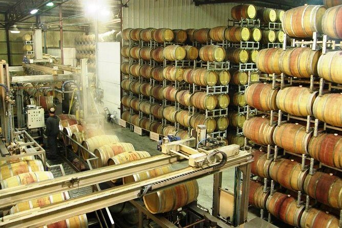 Private wine tour of Northern Israel - The Experience at Each Winery