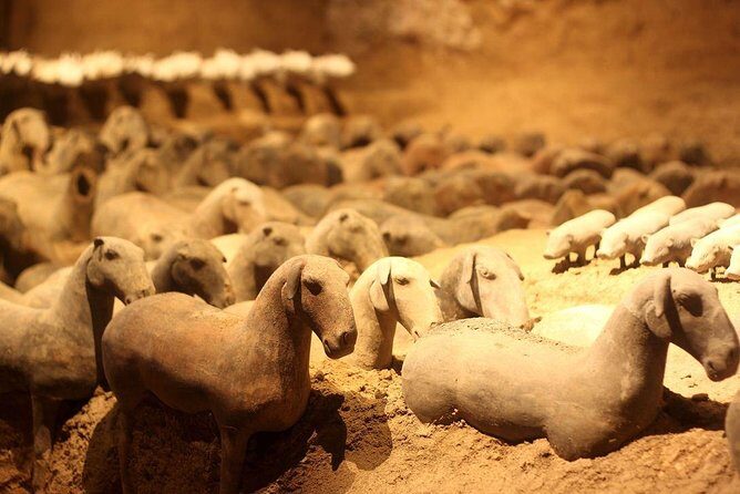 Private Xi'an Tour: Terracotta Warriors, Hanyangling Museum, Cave Homes - Practicalities and Tips