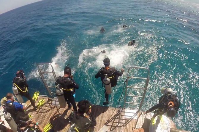 Professional 2 Stops Scuba Diving Full Day Boat Trip - Hurghada - What the Reviews Say: A Spectrum of Positive Experiences