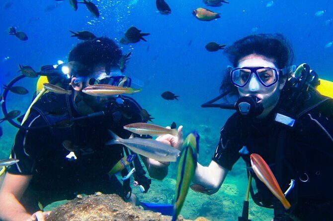Professional Diver Two Stops Dives & Lunch, transferHurghada - What Do Travelers Say?