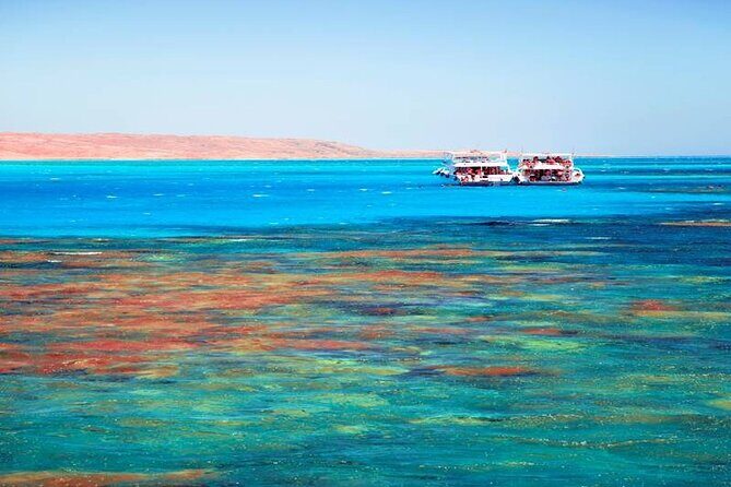 Professional diving adventure boat trip & lunch From Hurghada - What Travelers Say: Authentic Experiences
