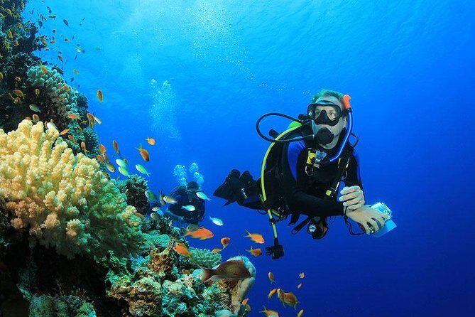 Professional Scuba Diving Full Day Trip With Transfer  Hurghada - The Itinerary in Detail