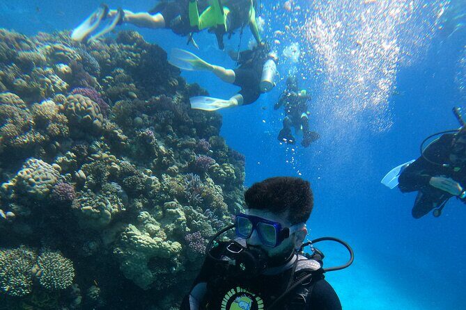 Professional Scuba Diving Trip in Hurghada with Lunch - The Sum Up: Worthwhile, Authentic, and Well-Organized